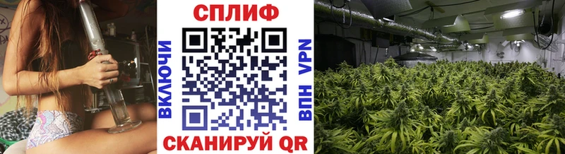 МАРИХУАНА марихуана  дарнет шоп  Михайловск 